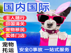 虹桥机场快运国际宠物托运 【国
